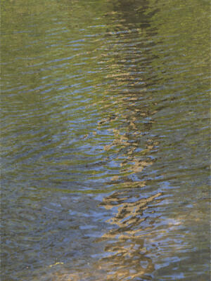 Reflections in Wildcat Creek
