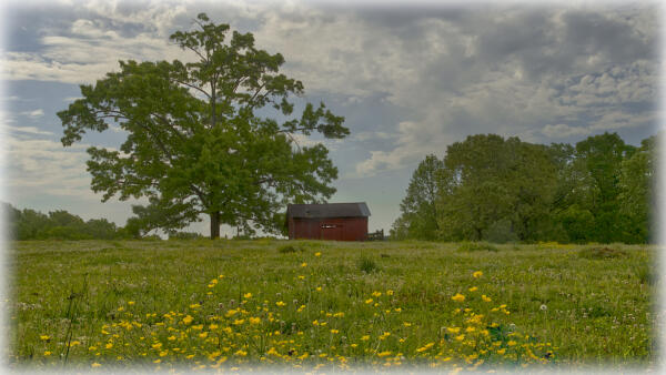 Along Brasswell Mountain Road