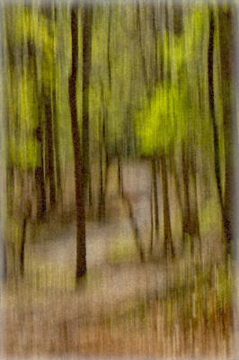 Another abstract of the trail