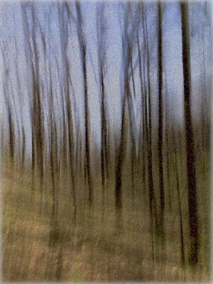 Abstract of the trail