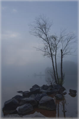 Another Easter morning image