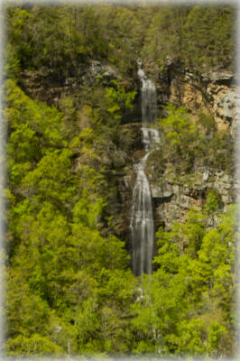 A falls in the side of Cloudland Canyon