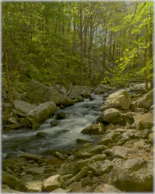 More of Sitton's Creek