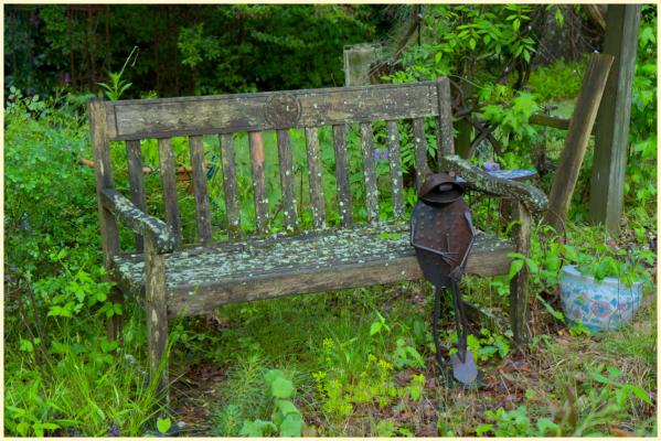 A bit of Wabi-sabi in a neighbor's yard