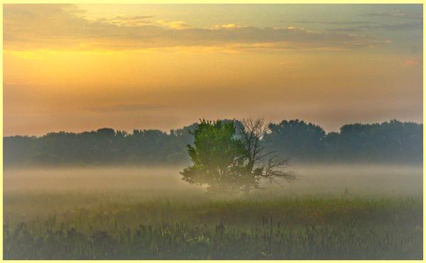 Sunrise at the Cedar Avenue pedestrian bridge