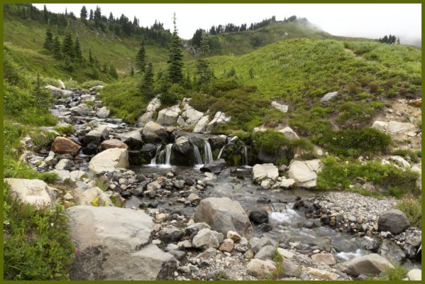 Edith Creek above Mytrle Falls
