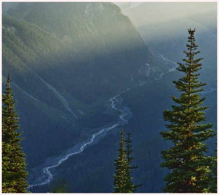 The White River viewed from the Silver Firest Trail