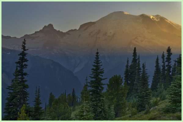 Mt Rainier at sunset from the Silver Forest Trail
