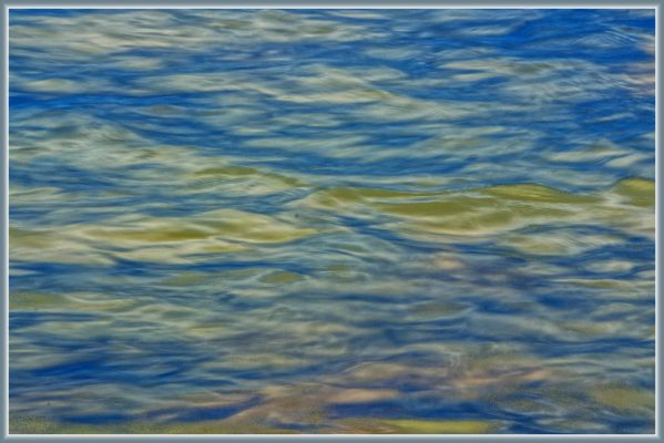 Lake Lanier up close