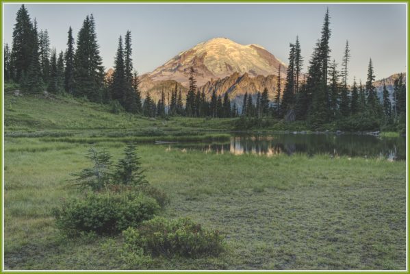 The meadow at Tipsoo Lake