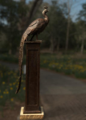 Yet another peacock.  Heavily processed