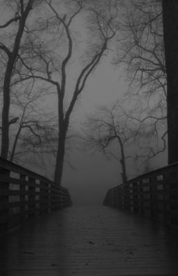 B/W looking across the bridge into the foggy hillside