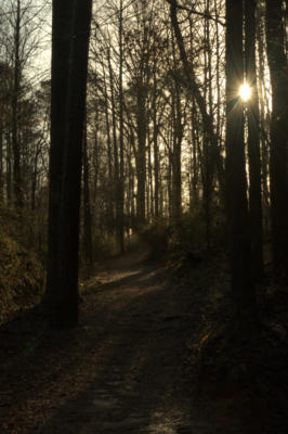 Looking up the final stretch of trail