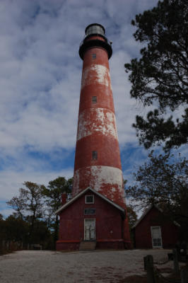 DSC 1259