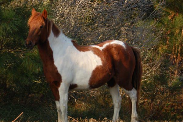 DSC 1557