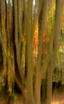 Color in the neighborhood, ICM while shooting