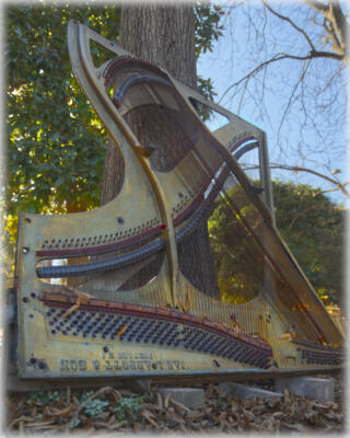 In the Beeloved Garden at the West Raleigh Presbyterian Church