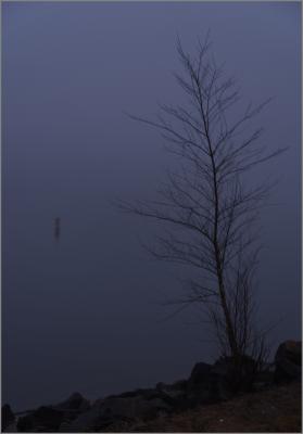 A foggy morning at Lake Lanier