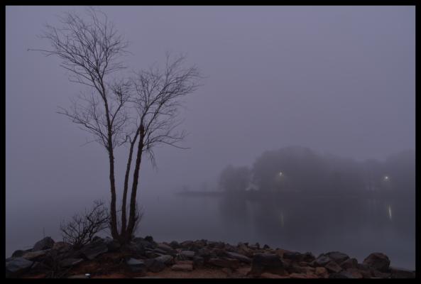 A foggy morning at Lake Lanier