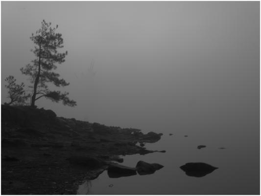 A foggy December morning