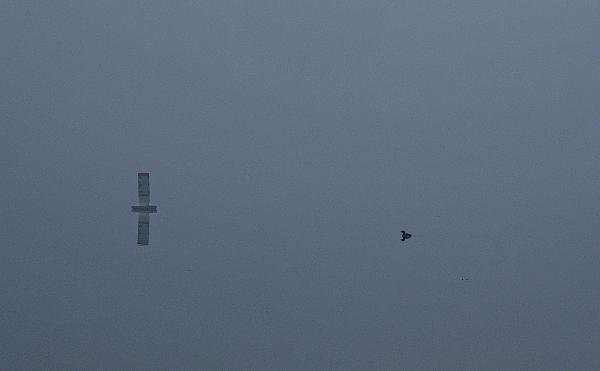 A foggy December morning