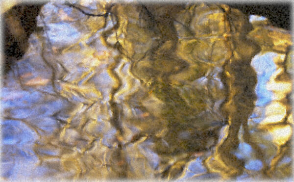 Reflections in a stream feeding into the 'hooch.