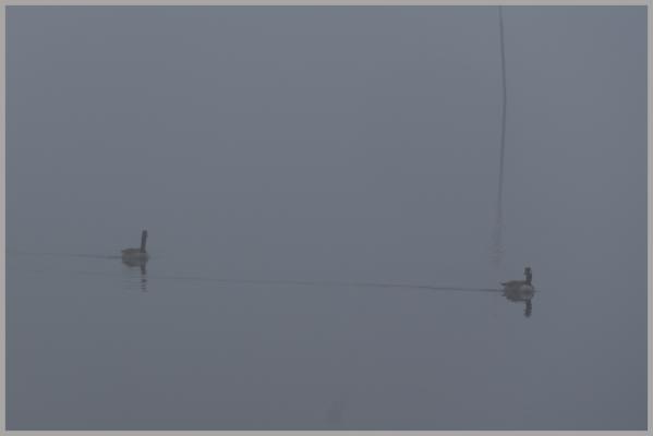 A foggy sunrise at Lake Lanier