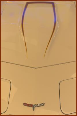 Hood of a 1981 corvette