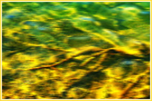 Reflections in Lake Lanier