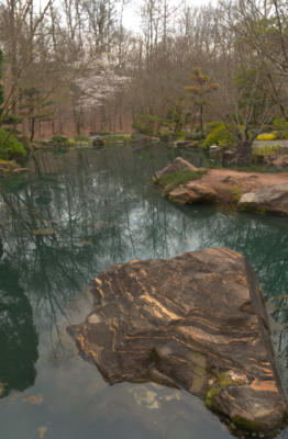 Pond in the Japanese Garden