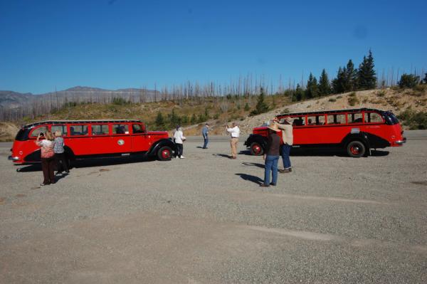 RedBusses