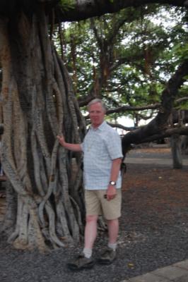 dickundertree