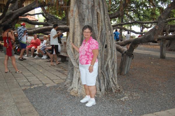 sueundertree