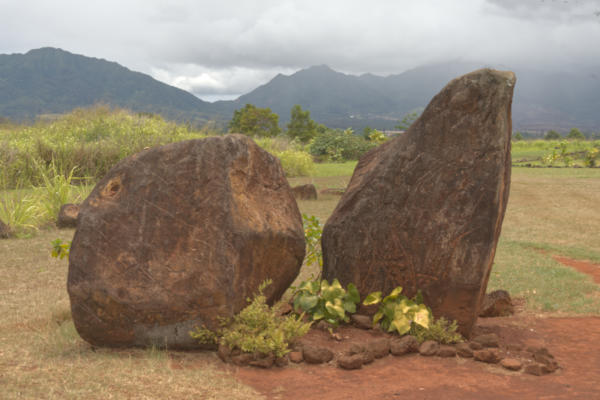 Some of the Kukaniloko Birthing Stones not far from the Dole Plantation.