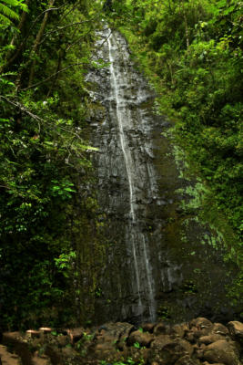  Manoa Falls