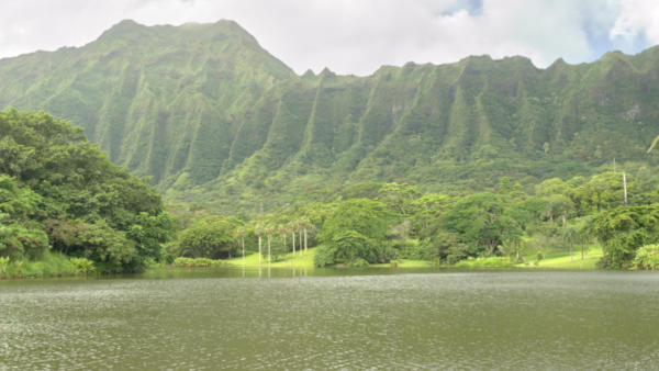 Cliffs on the windward side of Oahu at the Ho'omaluhia Botanical Gardens