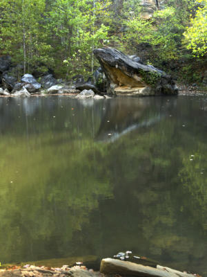 The frog rock in the quarry