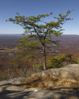 View from Mt Yonah
