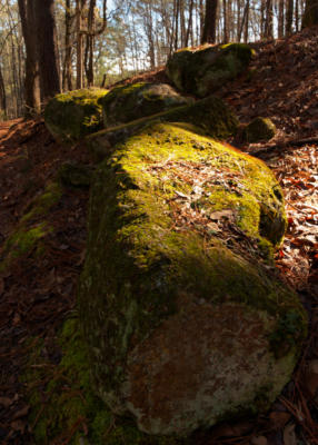 More of the Iron Hill Trail