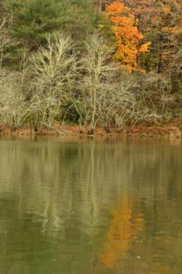  Reflections in Black Rock Lake