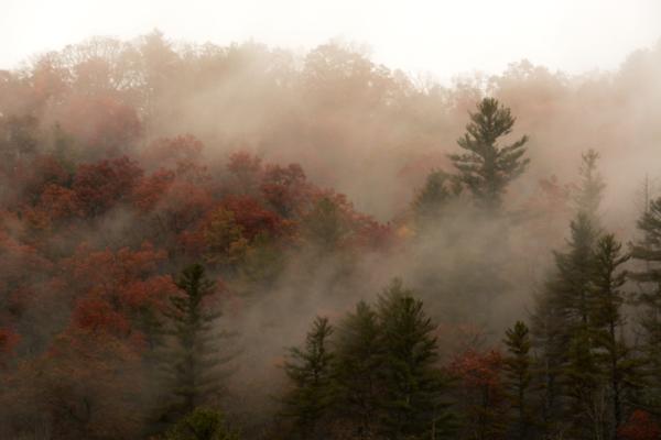 Fog on the hillside across Black Rock Lake