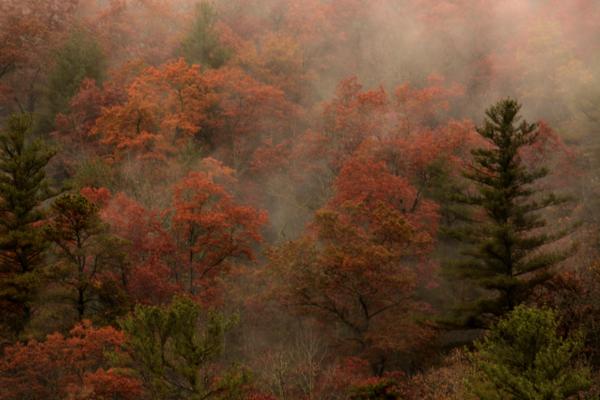 Fog on the hillside across Black Rock Lake