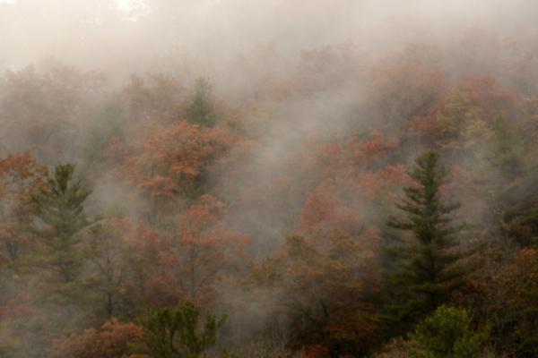 Fog on the hillside across Black Rock Lake