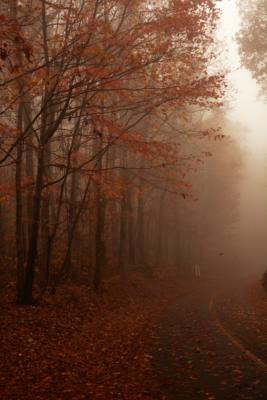 What little fall color was left