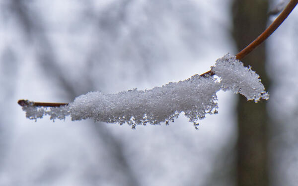 Trail at Caney Creek