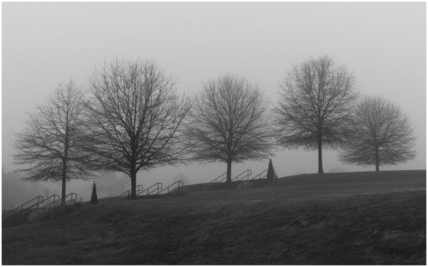 The same foggy morning