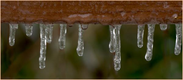 Icicles on the neighbor's fende