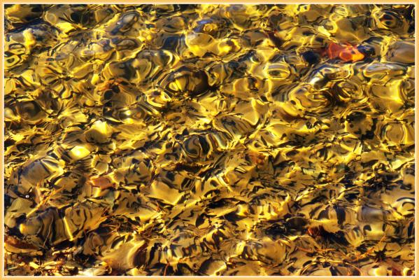 Reflections in Lake Lanier