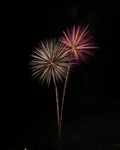 Fireworks at UNG: the "two flowers" shot