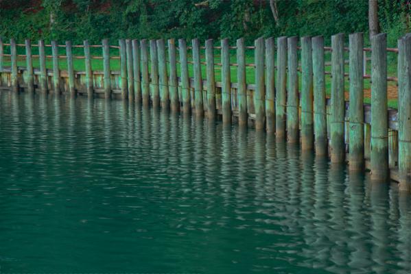 Fencing at West Bank Park